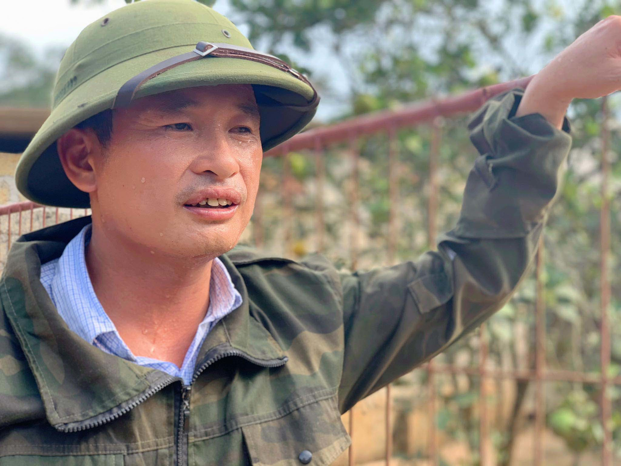 Đàn lợn rừng ăn dược liệu: Anh cán bộ xã thu tiền tỷ mỗi năm - Ảnh 5. Đàn lợn rừng ăn dược liệu: Anh cán bộ xã thu tiền tỷ mỗi năm - Ảnh 5.