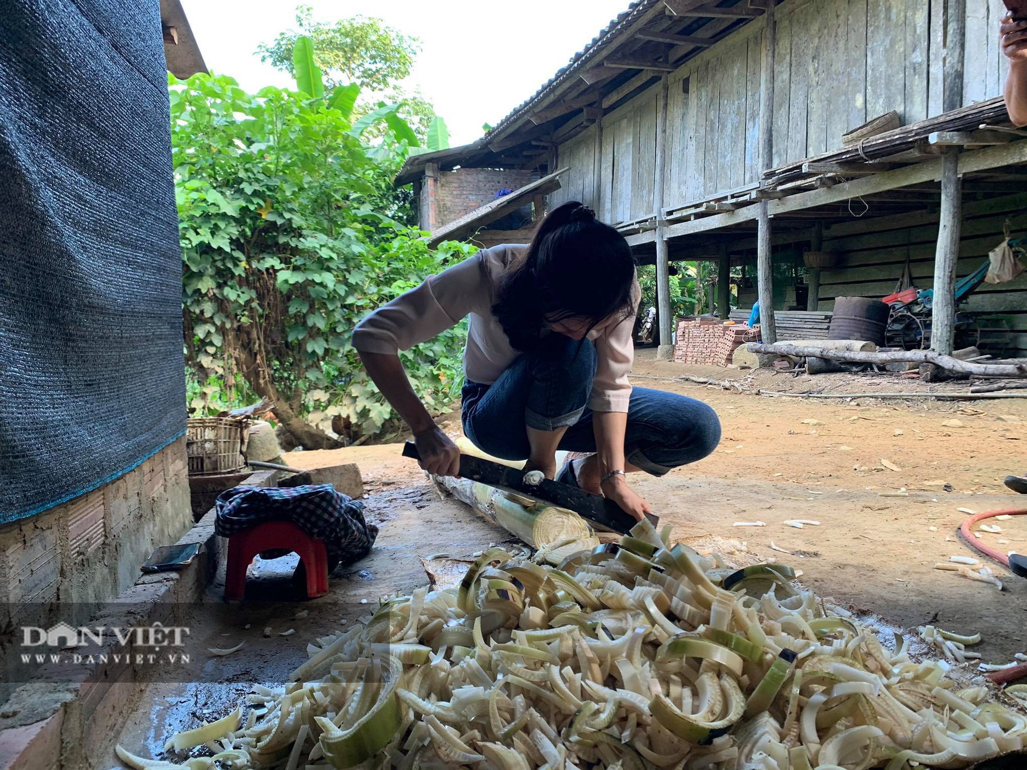 Giữa rừng không lo dịch bệnh, nông dân Cao Bằng bỏ túi hơn 500 triệu đồng/năm nhờ nuôi lợn - Ảnh 4.