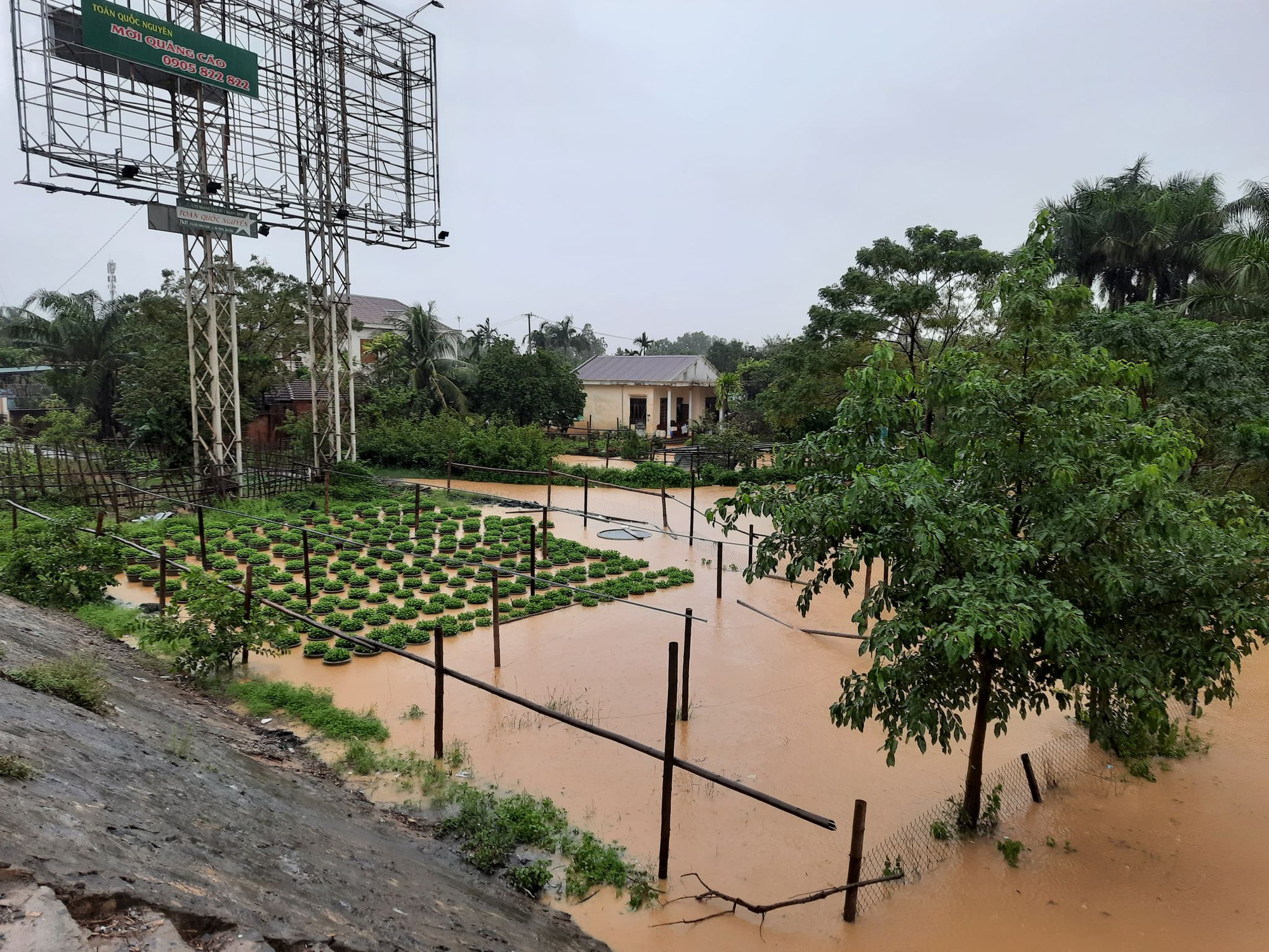 Quảng Trị: 4 người mất tích, 1 người chết - Ảnh 3.