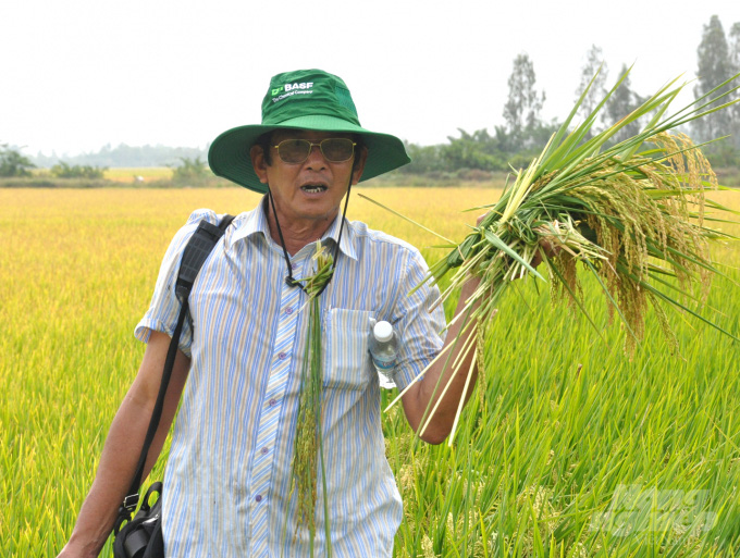 'Cha đẻ' gạo ST25 vẫn âm thầm nâng tầm gạo Việt - Ảnh 3. 'Cha đẻ' gạo ST25 vẫn âm thầm nâng tầm gạo Việt - Ảnh 3.