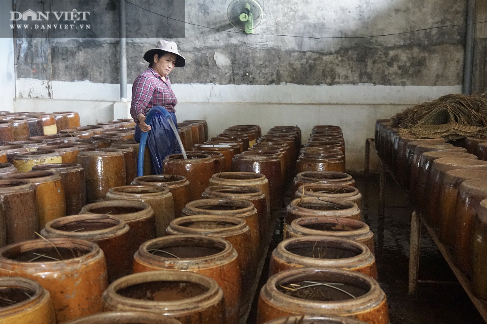 Đà Nẵng: Nông dân khấm khá nhờ nghề làm giá truyền thống - Ảnh 1.