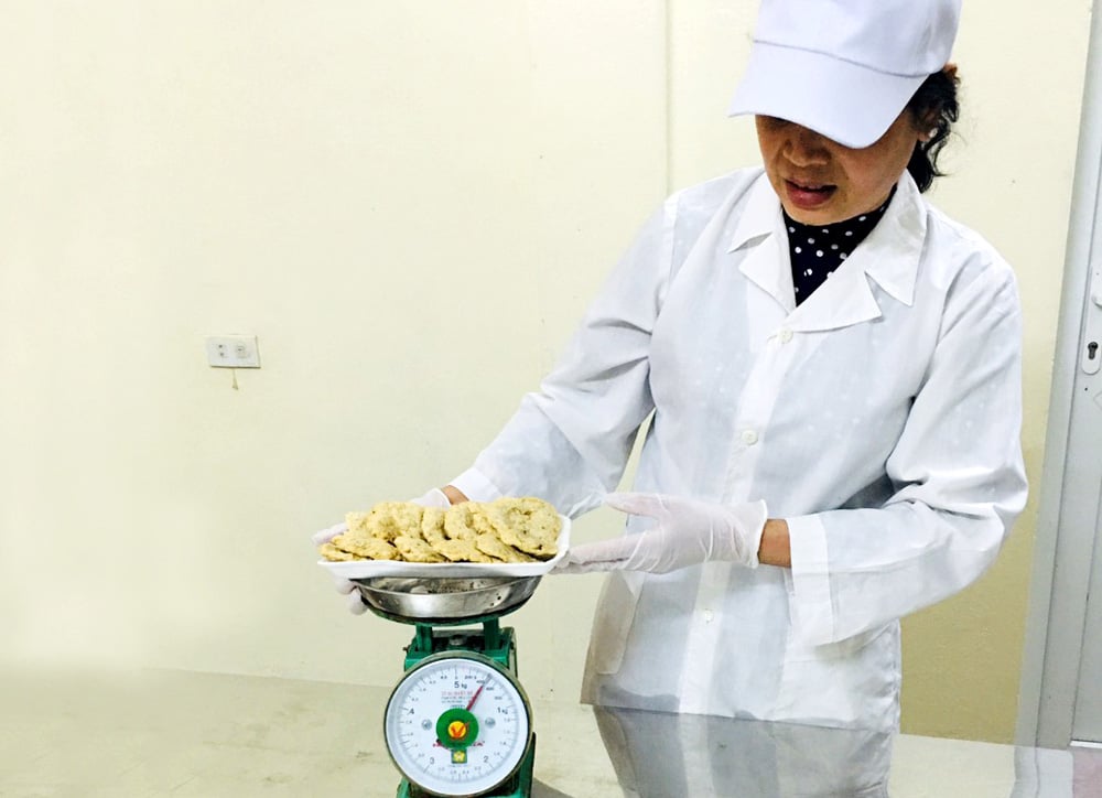 Đưa mực ống Cô Tô thành sản phẩm thương hiệu - Ảnh 2. Đưa mực ống Cô Tô thành sản phẩm thương hiệu - Ảnh 2.