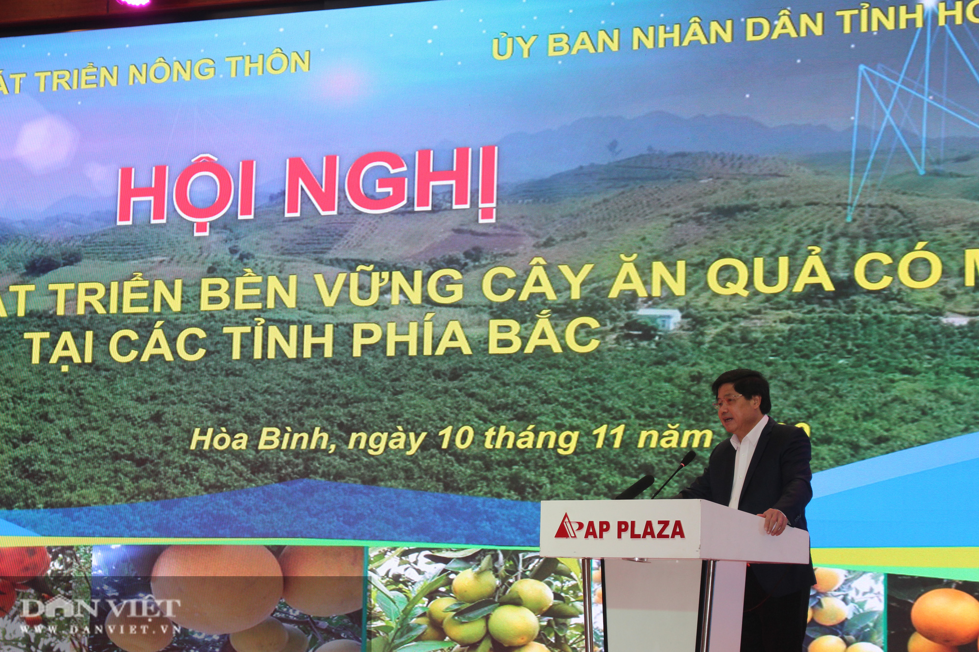 Diện tích cây có múi tăng chóng mặt và phát sinh dịch bệnh - Ảnh 1.