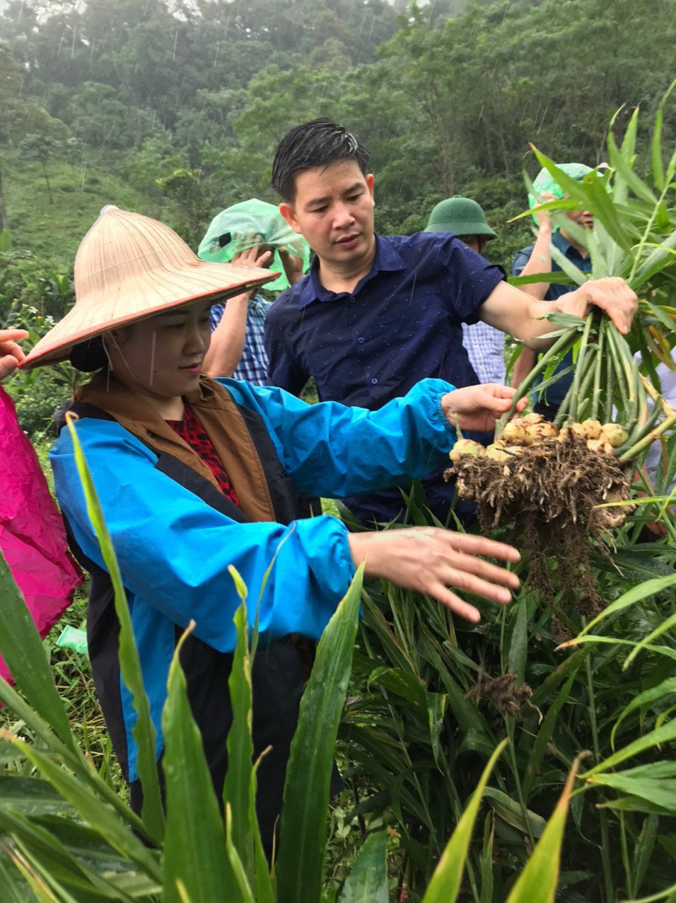 2 yếu tố tạo nên thành công của Bắc Kạn: Ưu tiên đầu tư, chú trọng nông nghiệp - Ảnh 1.