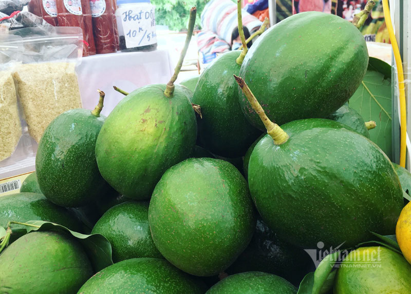 Quả bơ khổng lồ nặng 2 kg, hàng trên núi về gây sốt Hà thành - Ảnh 7. Quả bơ khổng lồ nặng 2 kg, hàng trên núi về gây sốt Hà thành - Ảnh 7.