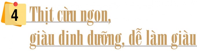 Nhiều tỉnh đã nuôi được cừu, nhưng nuôi bán thịt thì chỉ có tỉnh nào? - Ảnh 8.