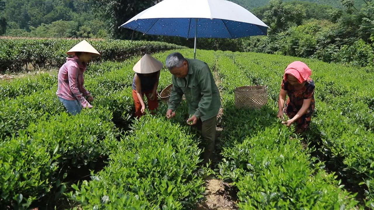 2 yếu tố tạo nên thành công của Bắc Kạn: Ưu tiên đầu tư, chú trọng nông nghiệp - Ảnh 2.