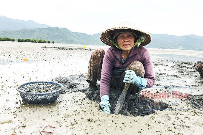 Khánh Hòa: Ở nơi này, đàn bà con gái ra biển mò bắt những con gì mà có lần gặp &quot;lành ít dữ nhiều&quot;? - Ảnh 7.
