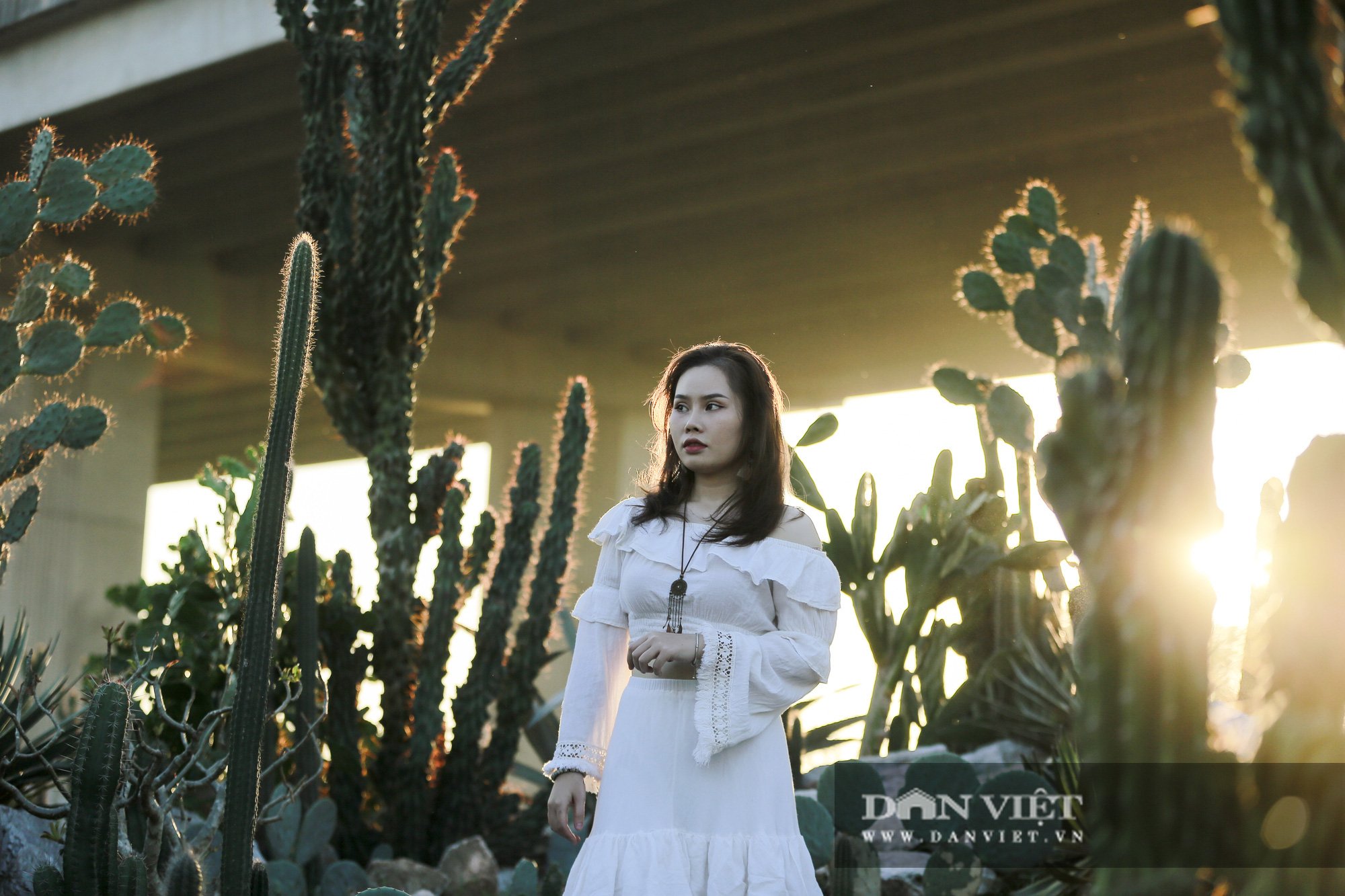 Vườn xương rồng Cacti Zone 'siêu chất' thu hút giới trẻ Hà Nội - Ảnh 13.