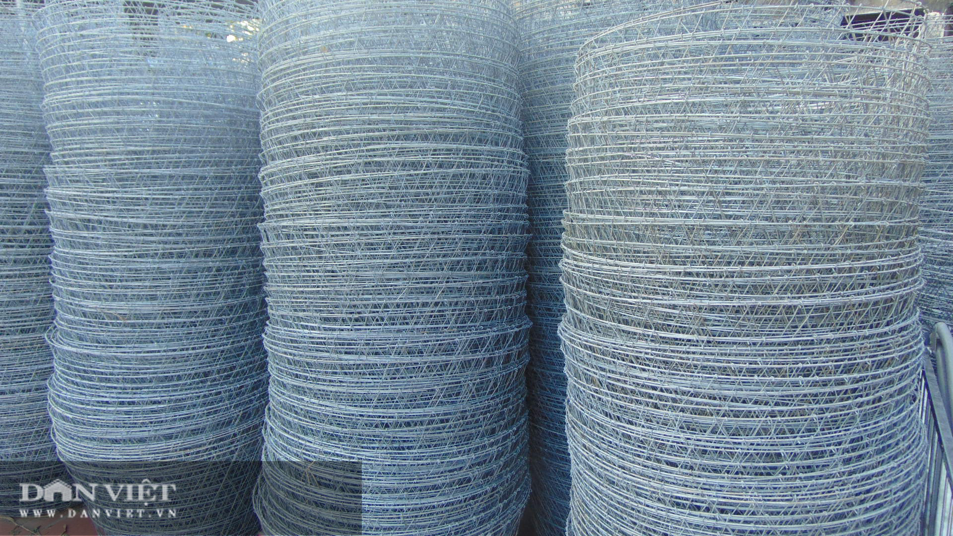 Vợ chồng ông nông dân Thái Nguyên kiếm trên 10 triệu đồng mỗi tháng từ nghề phụ này  - Ảnh 1.