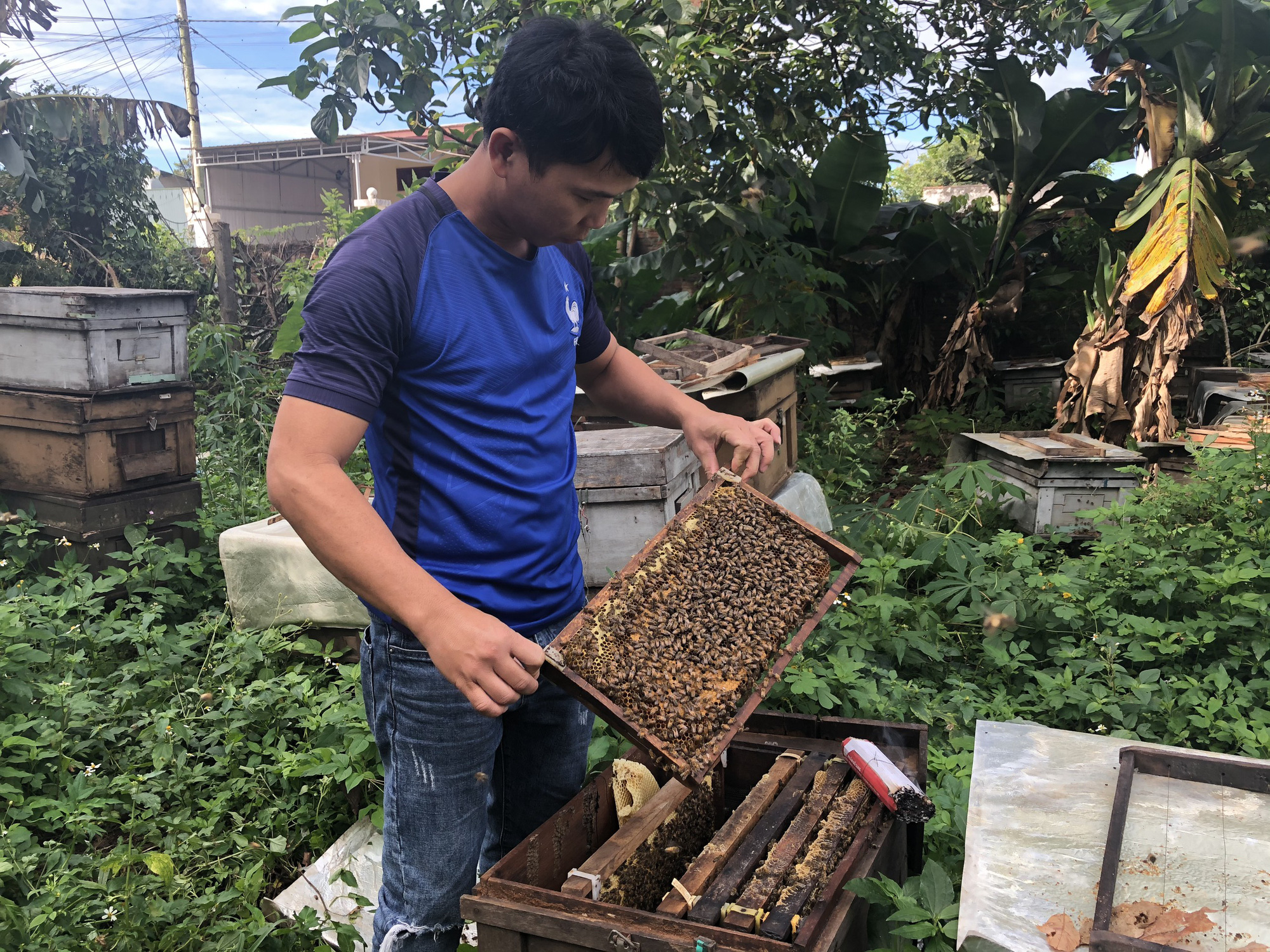 Xem anh nông dân chân đất làm sản phẩm OCOP thu 500 triệu/năm - Ảnh 4.