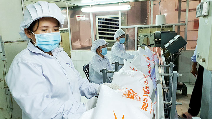 Mía đắng - Ảnh 1. Mía đắng - Ảnh 1.