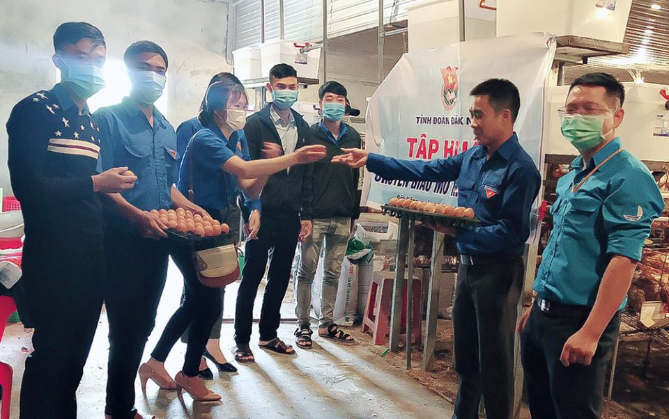 Đắk Nông: Hotboy nông dân nuôi gà gì mà mỗi tháng thu nhập 50 triệu đồng? - Ảnh 3.
