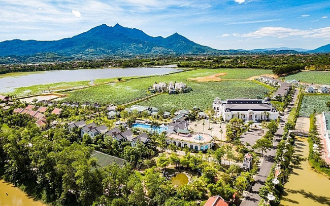 TIG và cuộc bứt phá trong quý IV/2020 từ "Dự án vườn vua" - Ảnh 3. TIG và cuộc bứt phá trong quý IV/2020 từ "Dự án vườn vua" - Ảnh 3.