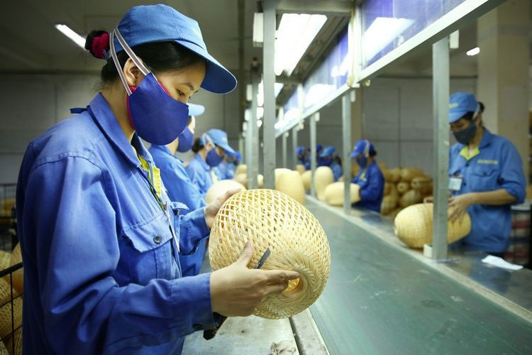 3 trường hợp người lao động không được hưởng chế độ ốm đau - Ảnh 1. 3 trường hợp người lao động không được hưởng chế độ ốm đau - Ảnh 1.