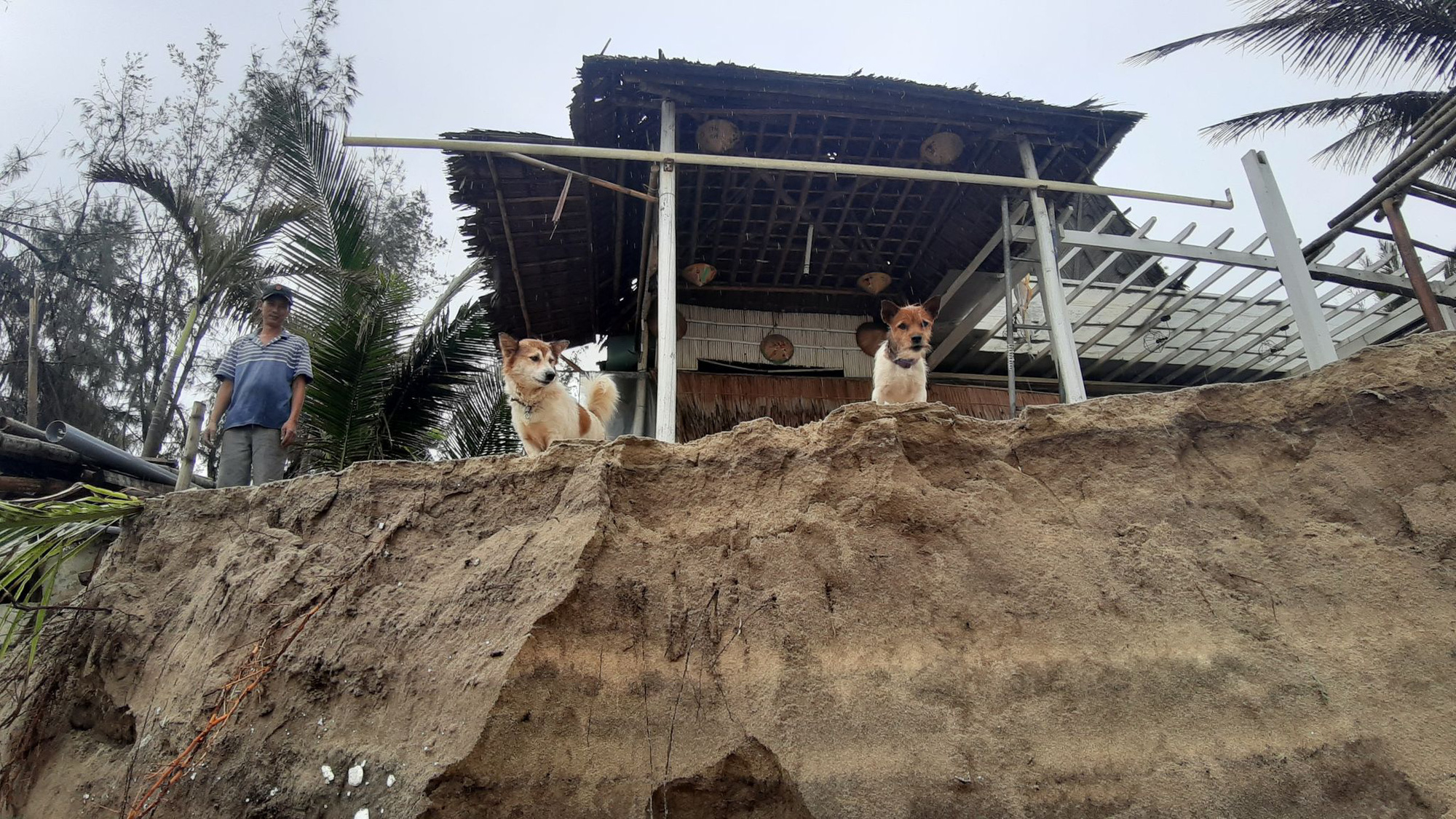 Ảnh hưởng bão số 13: Hàng chục nhà hàng ven biển An Bàng, Hội An bị đánh sập  - Ảnh 5.