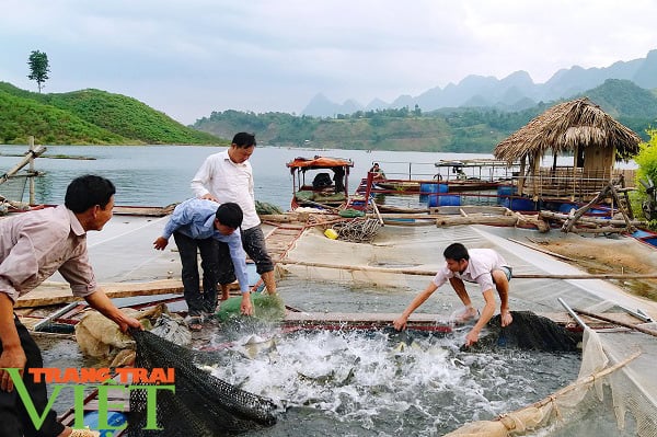 Quỳnh Nhai sau 10 năm XDNTM - Ảnh 7.