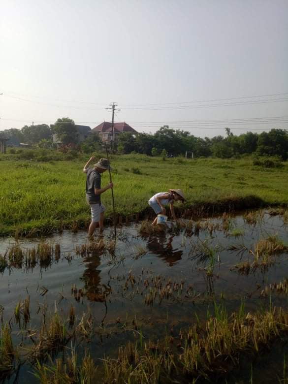 Kể chuyện làng: Tấm lòng mẹ nơi làng quê nghèo - Ảnh 1.