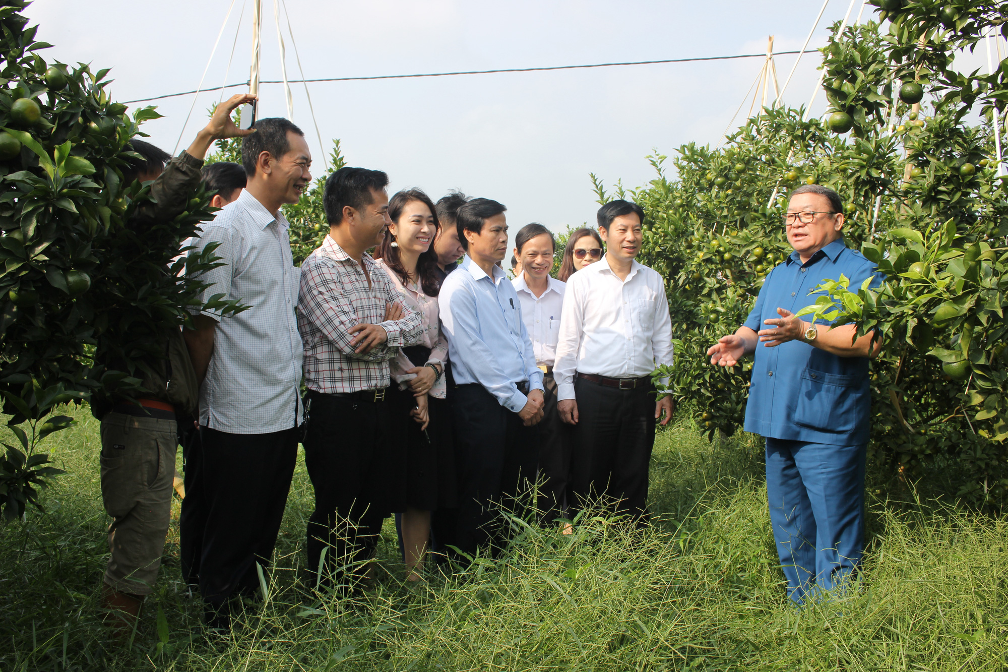 Chuyện làm Global GAP ở xứ Thanh - Ảnh 1. Chuyện làm Global GAP ở xứ Thanh - Ảnh 1.