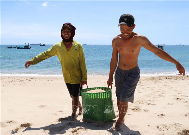 Ngư dân Ninh Thuận được mùa ruốc biển, thu nhập cả chục triệu đồng mỗi ngày - Ảnh 3. Ngư dân Ninh Thuận được mùa ruốc biển, thu nhập cả chục triệu đồng mỗi ngày - Ảnh 3.