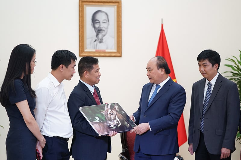 Vì sao sao la, loài thú bí ẩn chỉ có ở dãy Trường Sơn được chọn là linh vật của SEA Game 31? - Ảnh 1.