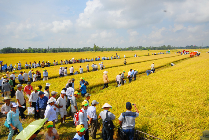 Khơi thông vốn cho nông nghiệp - Ảnh 1. Khơi thông vốn cho nông nghiệp - Ảnh 1.