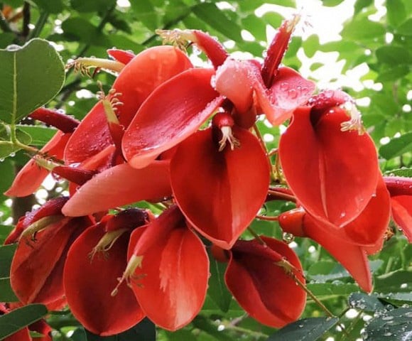 Sinh vào ngày Âm lịch này, thiếu niên vất vả, trưởng thành hưởng phúc - Ảnh 2.