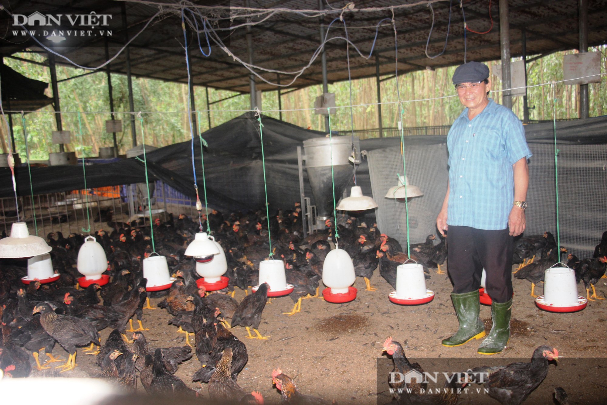 Nông dân được Thủ tướng tặng Bằng khen, nuôi con gì, trồng cây gì… để có doanh thu 2 tỷ đồng/năm? - Ảnh 1.