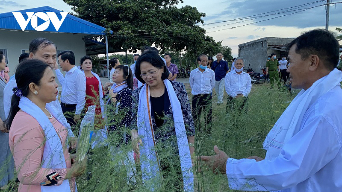 Phát triển nông nghiệp công nghệ cao ở Ninh Thuận còn khó khăn - Ảnh 2. Phát triển nông nghiệp công nghệ cao ở Ninh Thuận còn khó khăn - Ảnh 2.