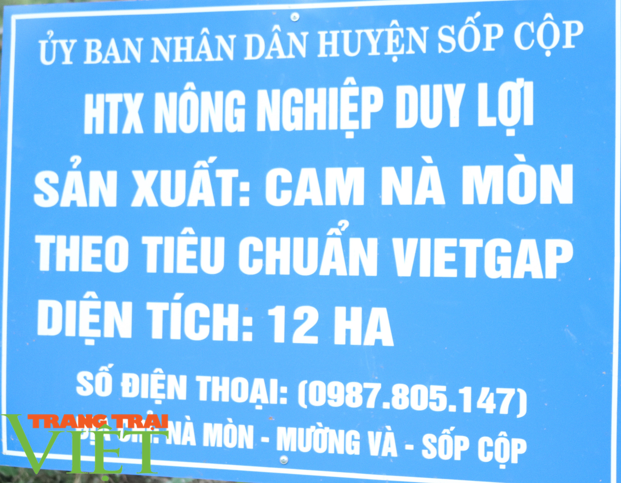 HTX Nông nghiệp Duy Lợi trồng cây ăn quả theo tiêu chuẩn VietGAP - Ảnh 4.