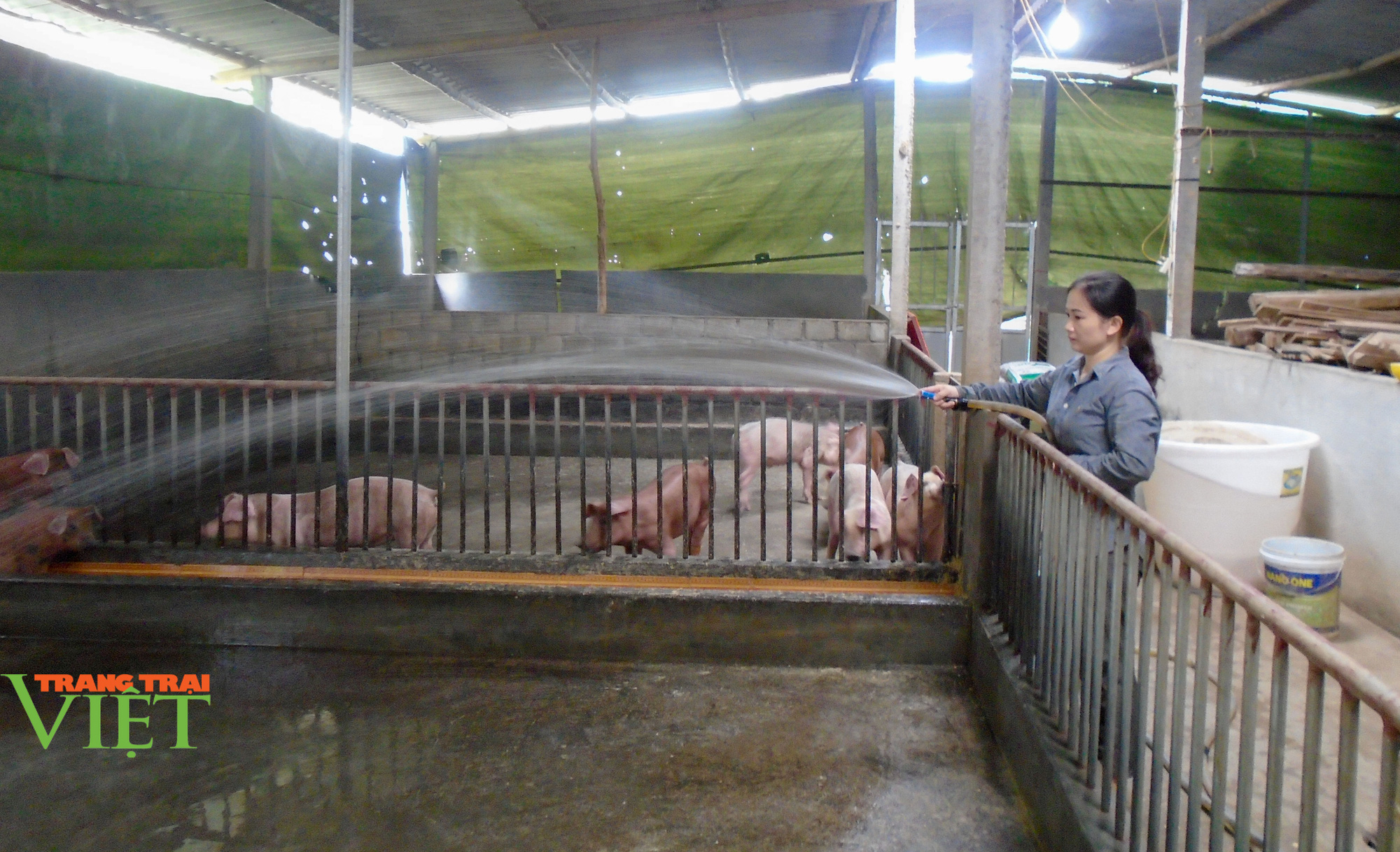 Lào Cai: Sức sống mới ở xã vùng cao Xuân Quang - Ảnh 3. Lào Cai: Sức sống mới ở xã vùng cao Xuân Quang - Ảnh 3.