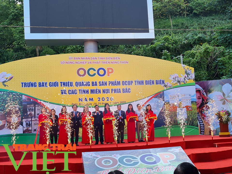 Hàng trăm sản phẩm OCOP đặc trưng các tỉnh miền núi phía Bắc quy tụ tại Điện Biên - Ảnh 5. Hàng trăm sản phẩm OCOP đặc trưng các tỉnh miền núi phía Bắc quy tụ tại Điện Biên - Ảnh 5.