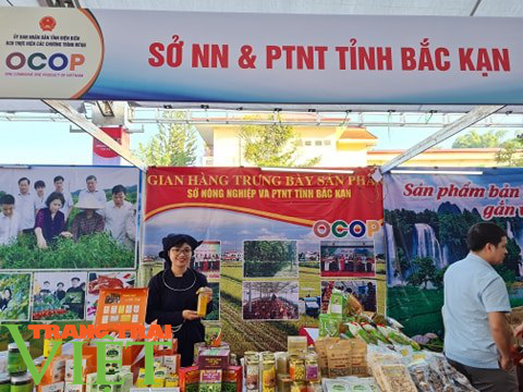 Hàng trăm sản phẩm OCOP đặc trưng các tỉnh miền núi phía Bắc quy tụ tại Điện Biên - Ảnh 8. Hàng trăm sản phẩm OCOP đặc trưng các tỉnh miền núi phía Bắc quy tụ tại Điện Biên - Ảnh 8.
