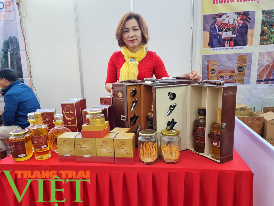 Hàng trăm sản phẩm OCOP đặc trưng các tỉnh miền núi phía Bắc quy tụ tại Điện Biên - Ảnh 10. Hàng trăm sản phẩm OCOP đặc trưng các tỉnh miền núi phía Bắc quy tụ tại Điện Biên - Ảnh 10.