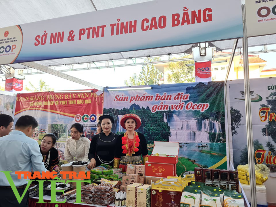 Hàng trăm sản phẩm OCOP đặc trưng các tỉnh miền núi phía Bắc quy tụ tại Điện Biên - Ảnh 6. Hàng trăm sản phẩm OCOP đặc trưng các tỉnh miền núi phía Bắc quy tụ tại Điện Biên - Ảnh 6.