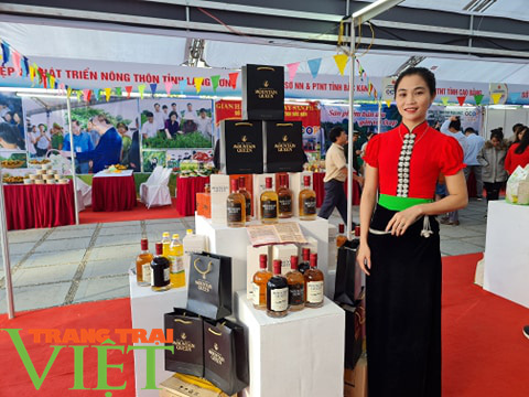 Hàng trăm sản phẩm OCOP đặc trưng các tỉnh miền núi phía Bắc quy tụ tại Điện Biên - Ảnh 9. Hàng trăm sản phẩm OCOP đặc trưng các tỉnh miền núi phía Bắc quy tụ tại Điện Biên - Ảnh 9.