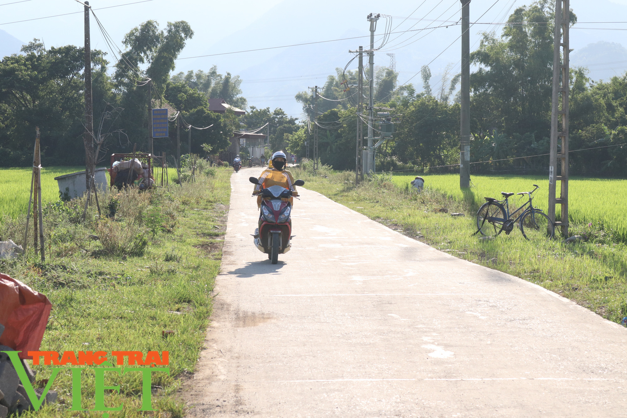 Phù Yên nỗ lực cứng hóa đường giao thông nông thôn - Ảnh 5. Phù Yên nỗ lực cứng hóa đường giao thông nông thôn - Ảnh 5.