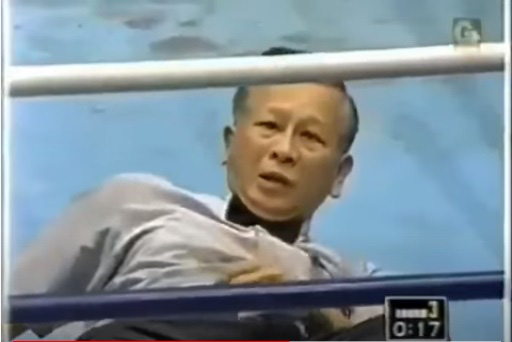 Clip: Võ sĩ đấm nhầm, trọng tài Trung Quốc bất tỉnh trên sàn - Ảnh 1.