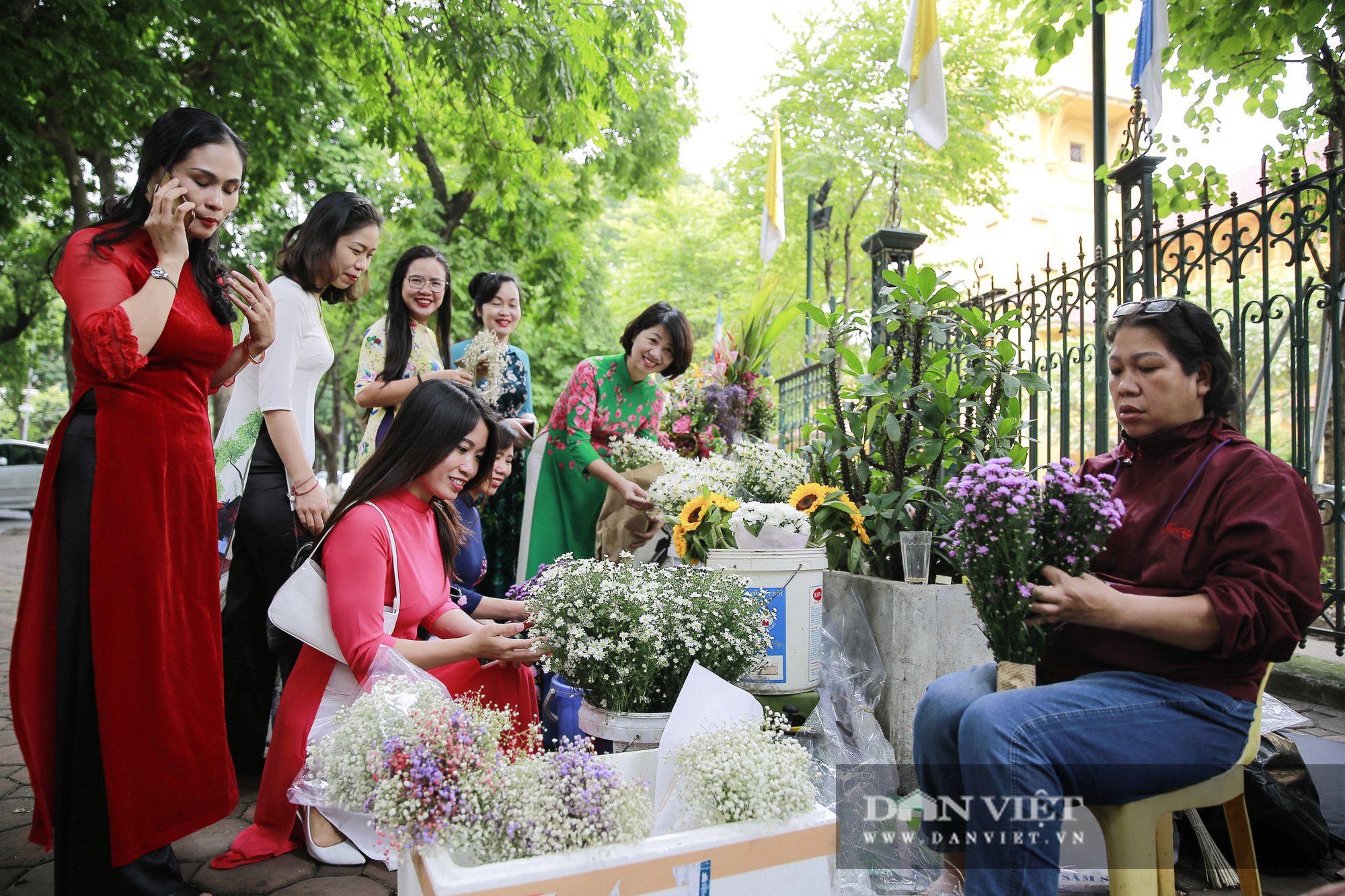Cúc họa mi len lỏi xuống phố gọi gió Đông về - Ảnh 8.