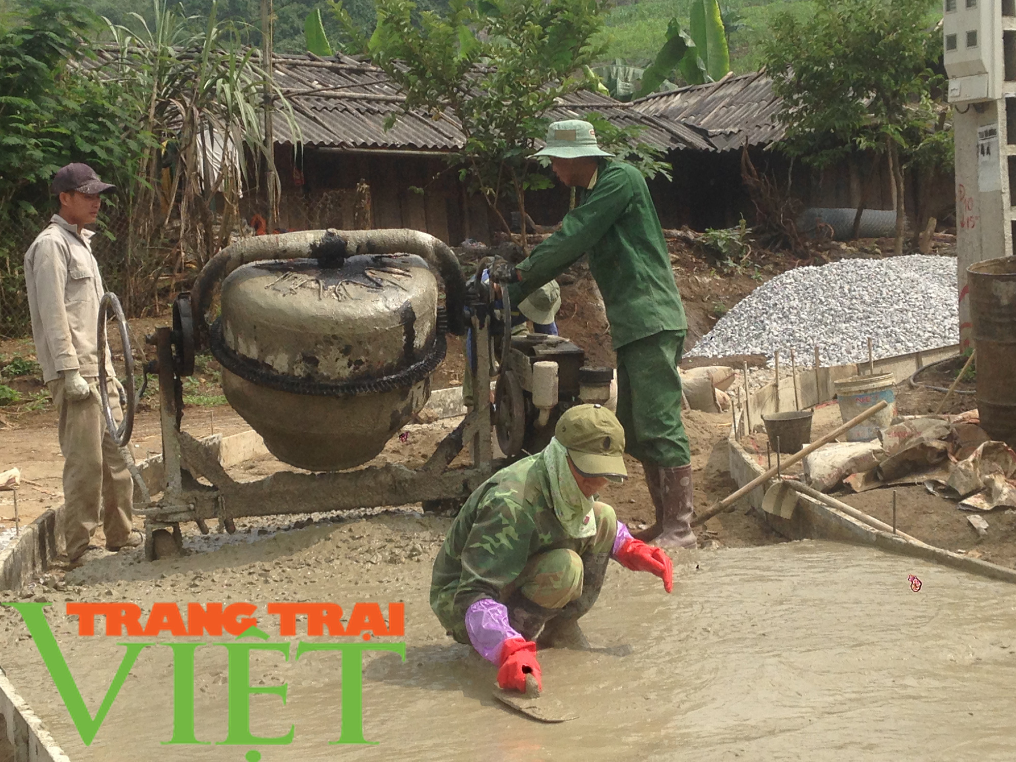 Hội Nông dân Mai Sơn: Huy động hội viên góp công, góp sức xây dựng nông thôn mới - Ảnh 5.