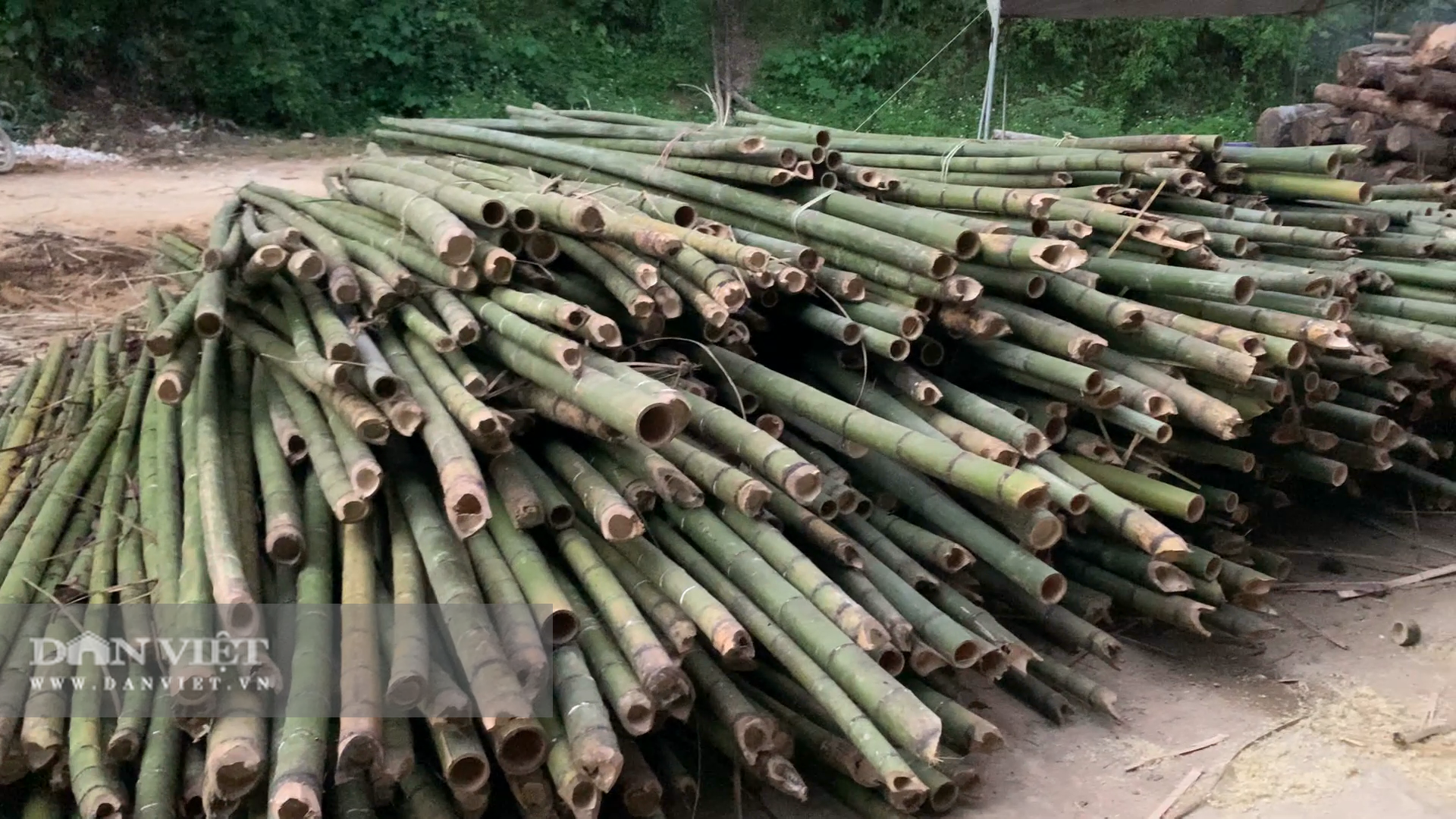 Cao Bằng: Tuổi cao không ngại khó, vừa nghỉ hưu liền mở xưởng tạo việc làm cho gần 30 lao động - Ảnh 1.