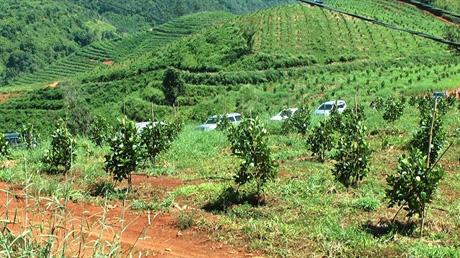 Lợi ích từ áp dụng tiêu chuẩn Global GAP trong sản xuất nông nghiệp - Ảnh 1. Lợi ích từ áp dụng tiêu chuẩn Global GAP trong sản xuất nông nghiệp - Ảnh 1.