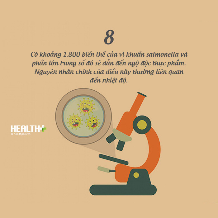 8 điều cần biết về vệ sinh an toàn thực phẩm - Ảnh 9.
