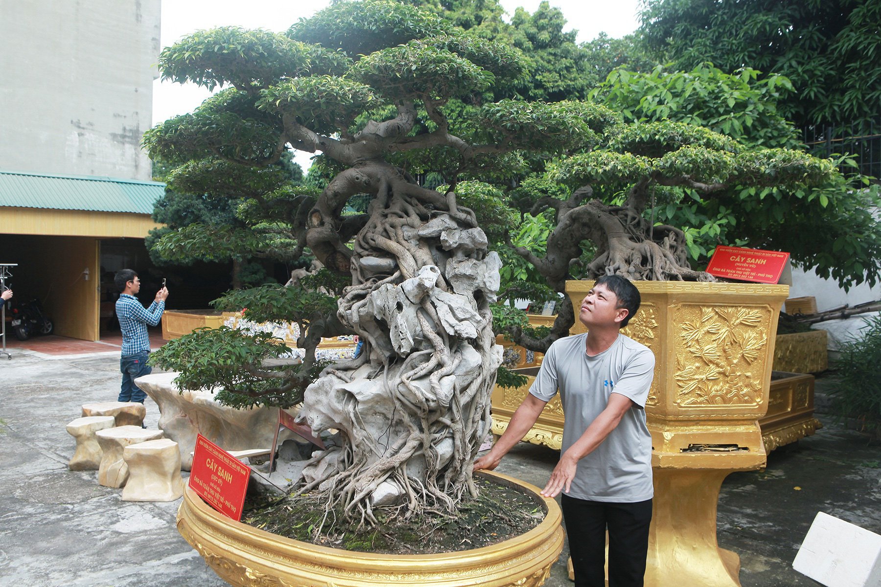 Chiêm ngưỡng cặp sanh cổ “mọc ngược” giá 10 tỷ đồng của nữ đại gia Phú Thọ - Ảnh 2. Chiêm ngưỡng cặp sanh cổ “mọc ngược” giá 10 tỷ đồng của nữ đại gia Phú Thọ - Ảnh 2.
