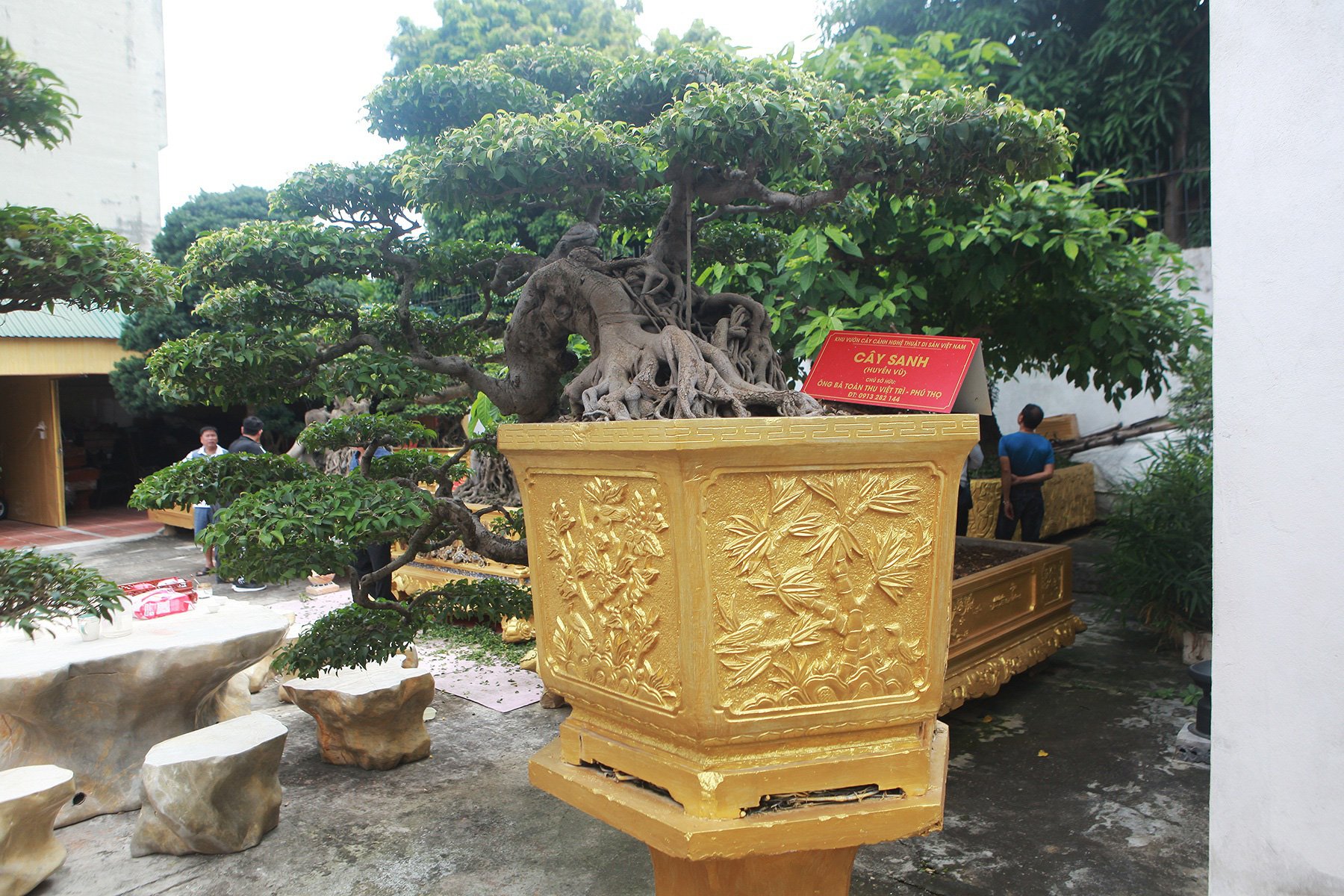 Chiêm ngưỡng cặp sanh cổ “mọc ngược” giá 10 tỷ đồng của nữ đại gia Phú Thọ - Ảnh 12. Chiêm ngưỡng cặp sanh cổ “mọc ngược” giá 10 tỷ đồng của nữ đại gia Phú Thọ - Ảnh 12.