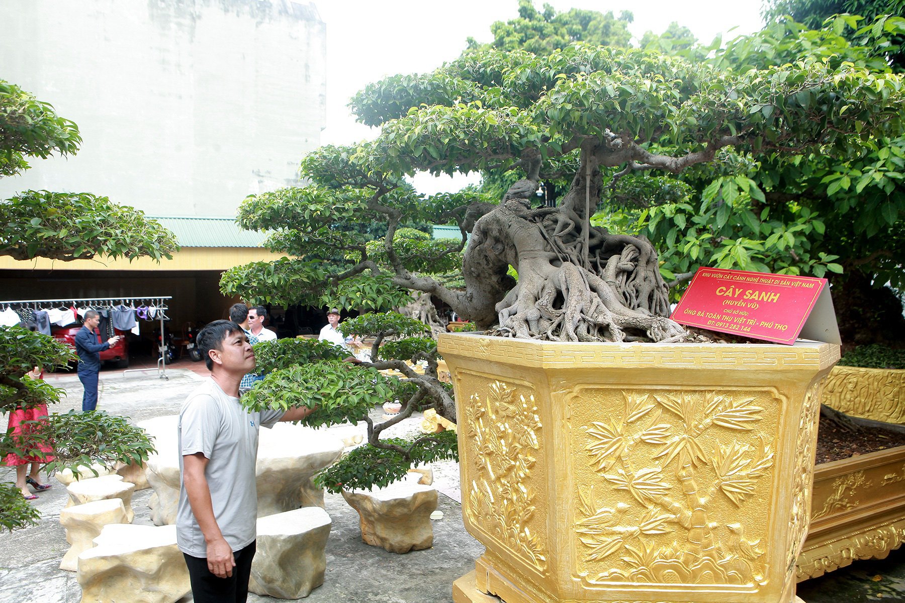 Chiêm ngưỡng cặp sanh cổ “mọc ngược” giá 10 tỷ đồng của nữ đại gia Phú Thọ - Ảnh 9. Chiêm ngưỡng cặp sanh cổ “mọc ngược” giá 10 tỷ đồng của nữ đại gia Phú Thọ - Ảnh 9.