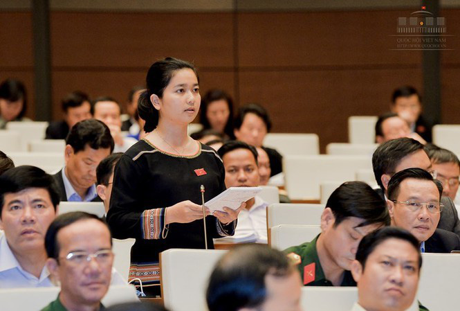Bộ trưởng Bộ Tài nguyên và Môi trường: Rừng còn quan trọng hơn trời - Ảnh 1.