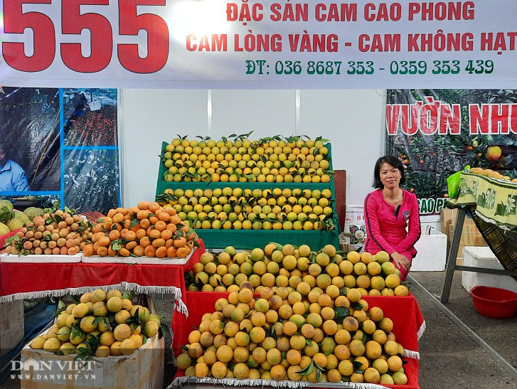 Hòa Bình: Khai mạc hội chợ nông nghiệp và triển lãm sản phẩm OCOP  - Ảnh 2.