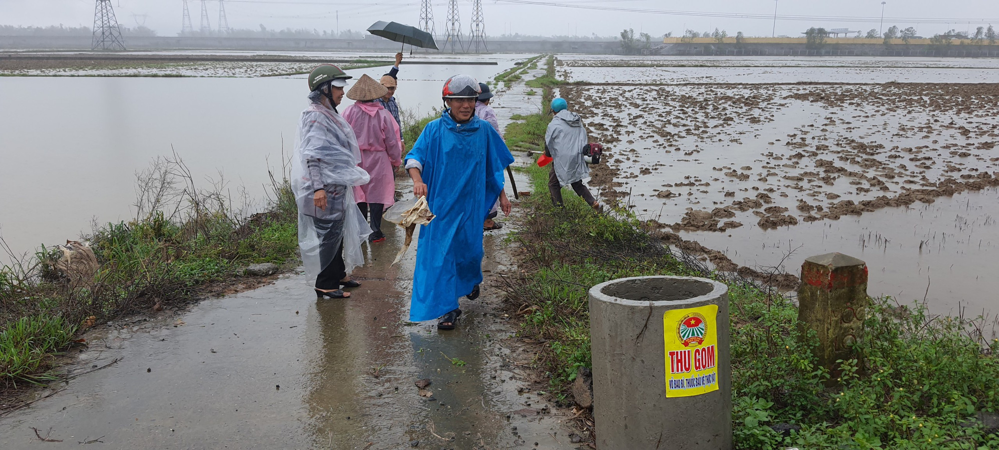 Hội Nông dân Đà Nẵng ra quân dọn vệ sinh đồng ruộng và hỗ trợ nông dân sản xuất sau bão lũ - Ảnh 4.