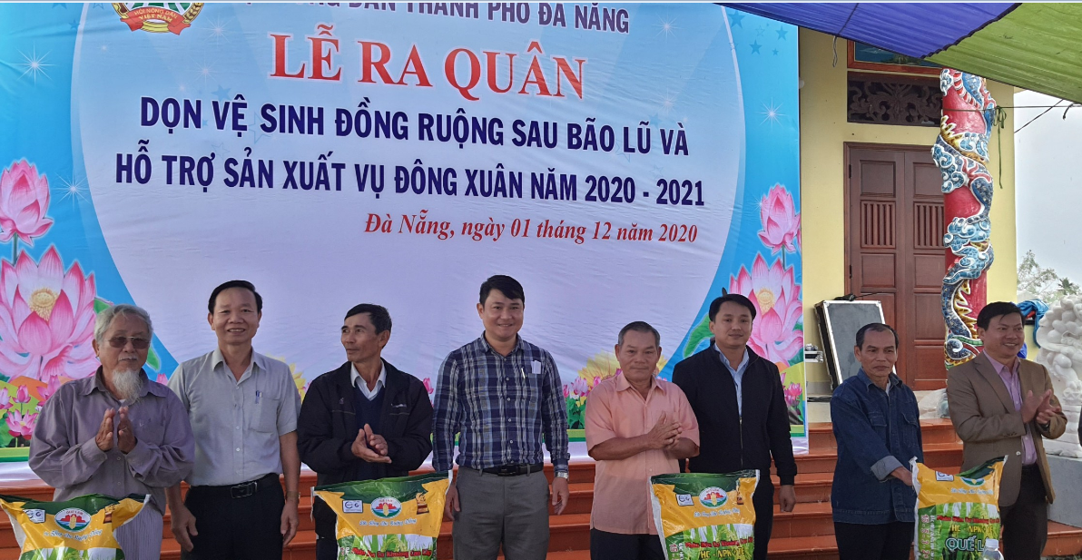 Hội Nông dân Đà Nẵng ra quân dọn vệ sinh đồng ruộng và hỗ trợ nông dân sản xuất sau bão lũ - Ảnh 1.